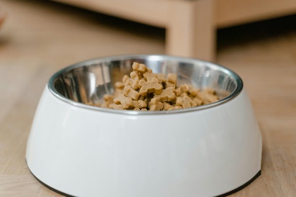 Découvrez les meilleures croquettes pour chien sans céréales